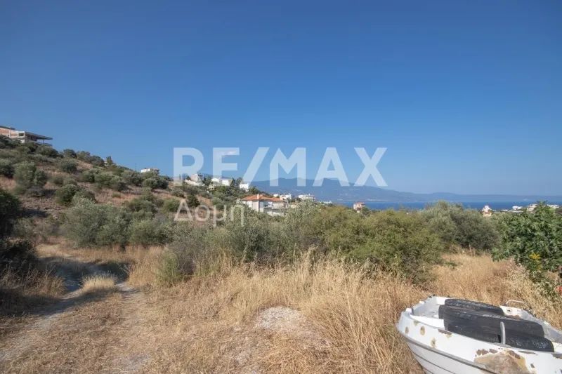 Οικόπεδο 605τ.μ.  - 3