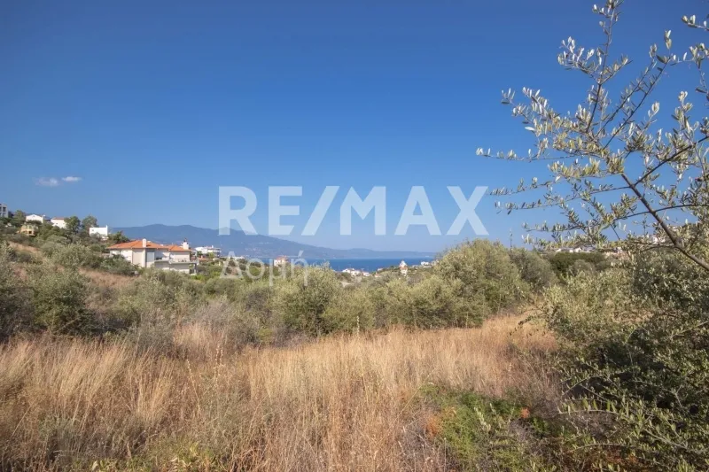 Οικόπεδο 605τ.μ.  - 4