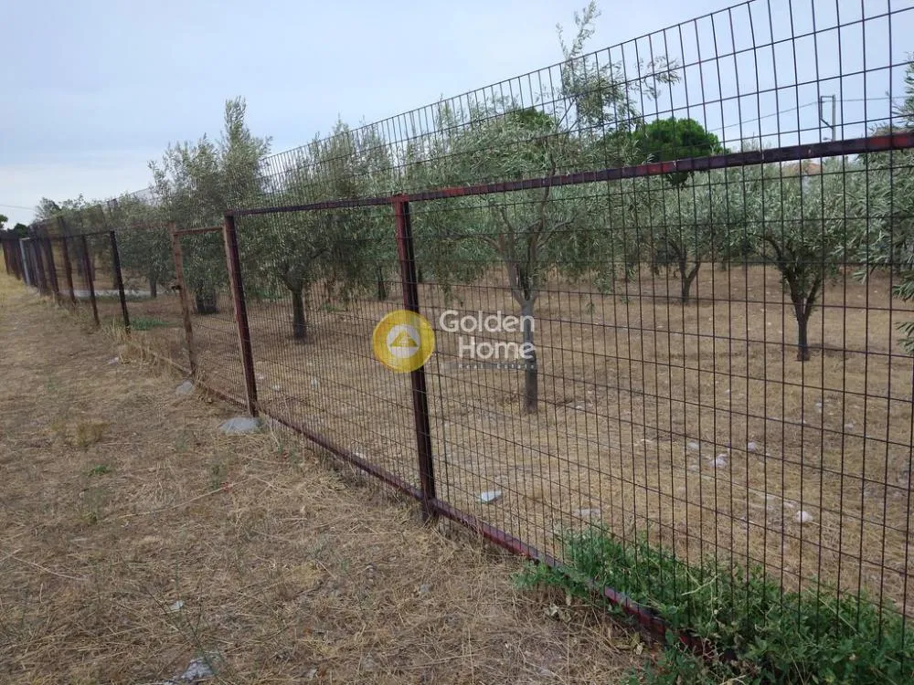 Land Parcel 811m²  - 2