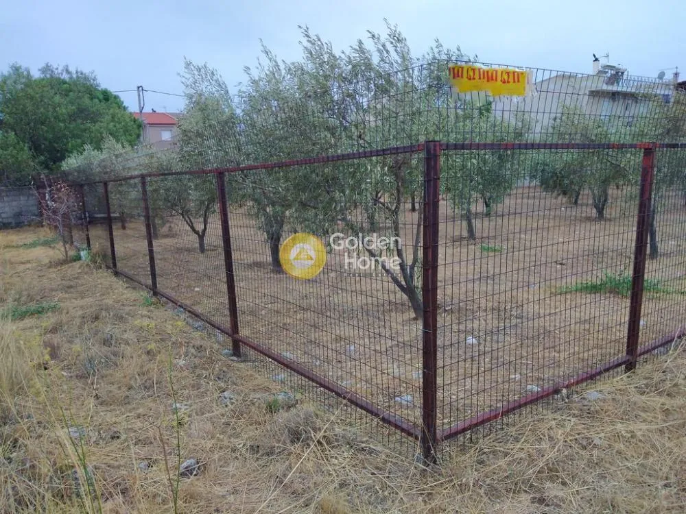 Land Parcel 811m²  - 3