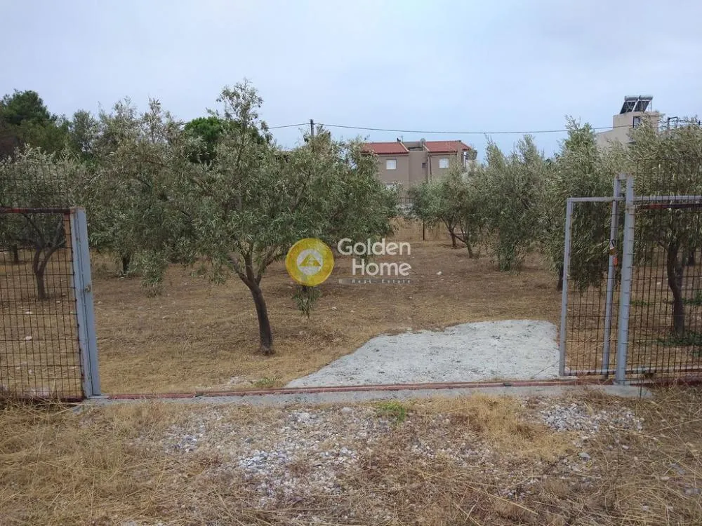 Land Parcel 811m²  - 4