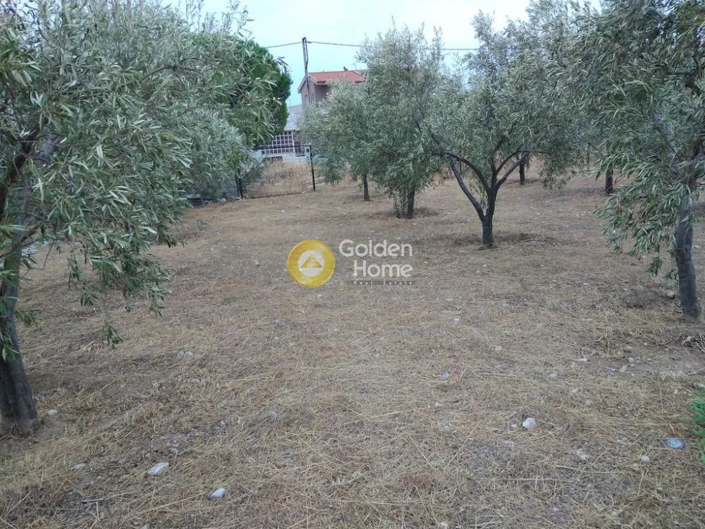 Land Parcel 811m²  - 5