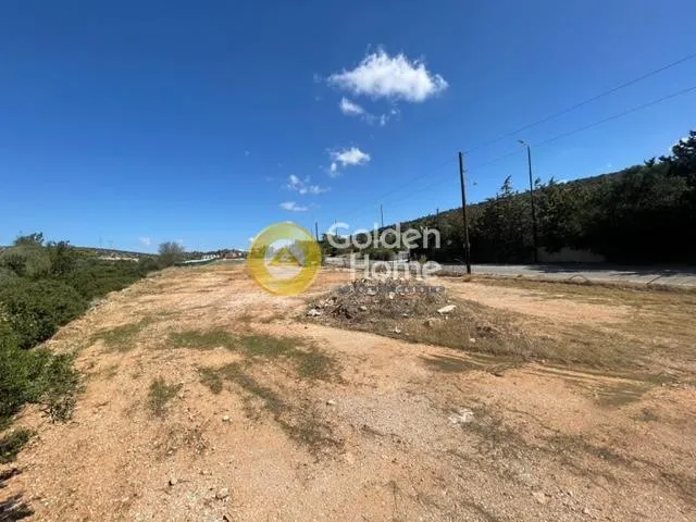Αγροτεμάχιο 3815τ.μ.  - 2