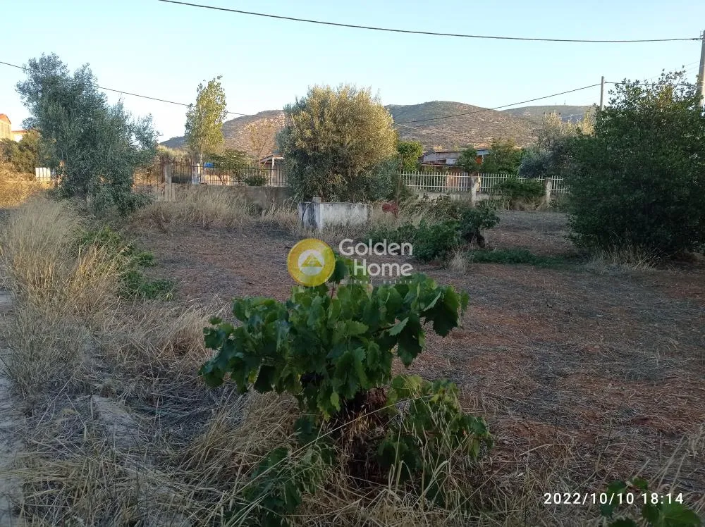 Μονοκατοικία 45τ.μ.  - 2