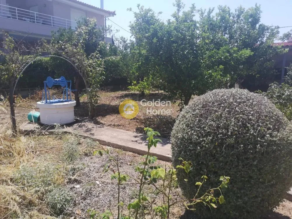 Detached house 179m²  - 4