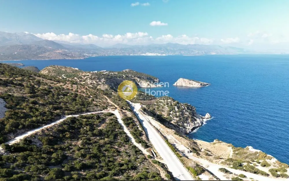 Αγροτεμάχιο 9399τ.μ.  - 4