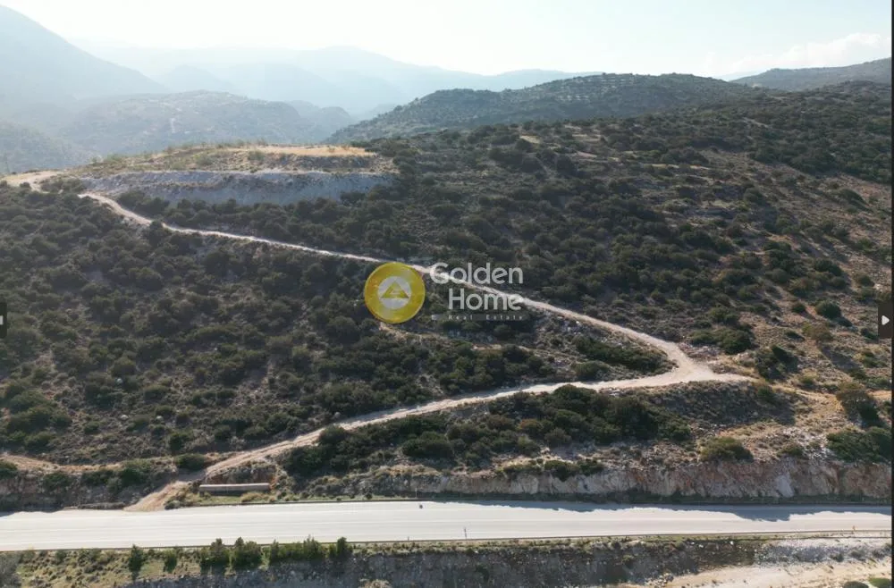Αγροτεμάχιο 9399τ.μ.  - 5