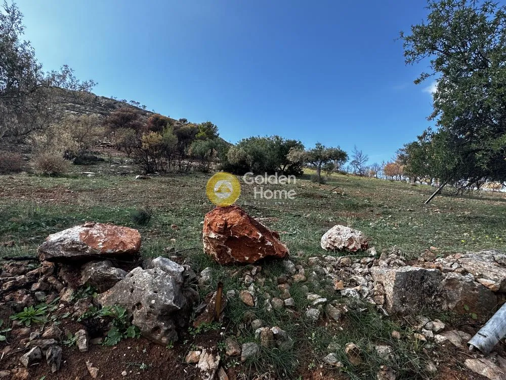Land Parcel 907m²  - 2