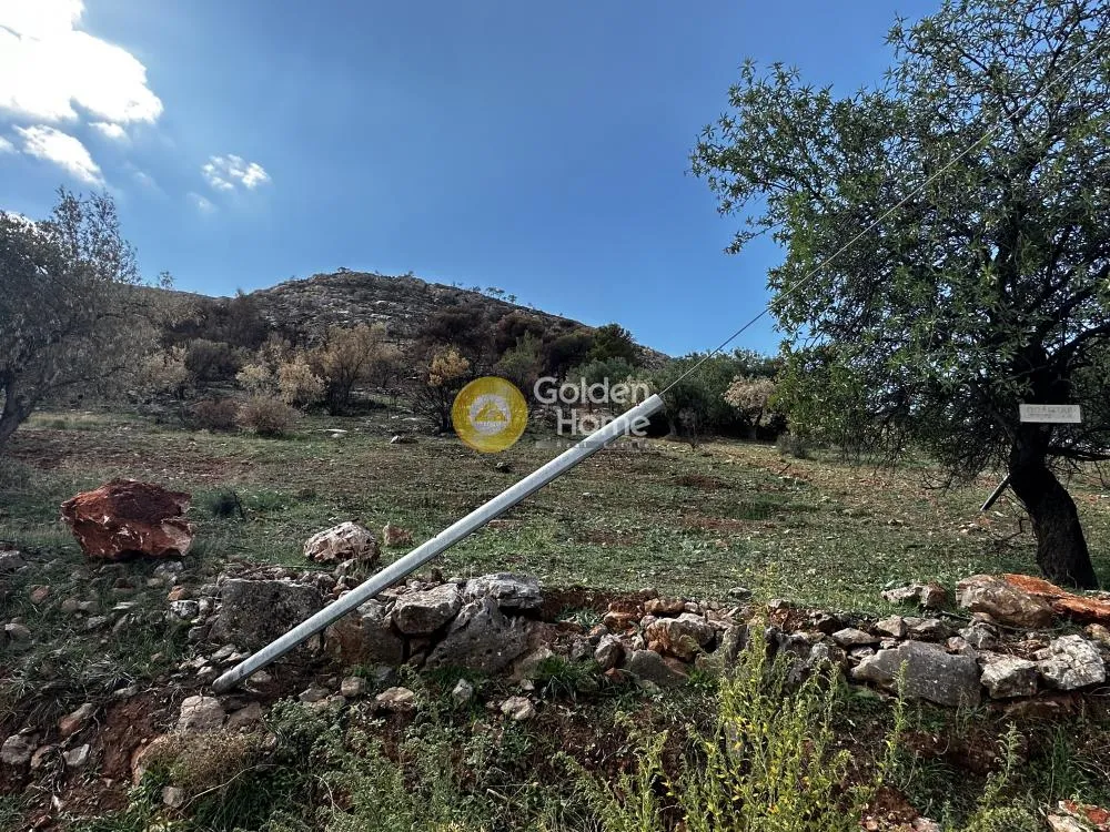 Land Parcel 907m²  - 3