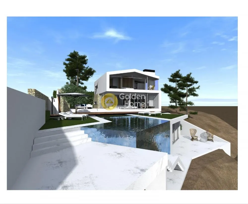 Detached house 463m²  - 4