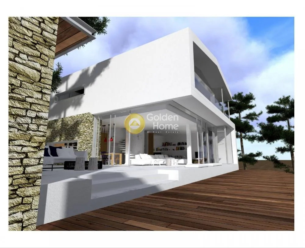 Detached house 463m²  - 5