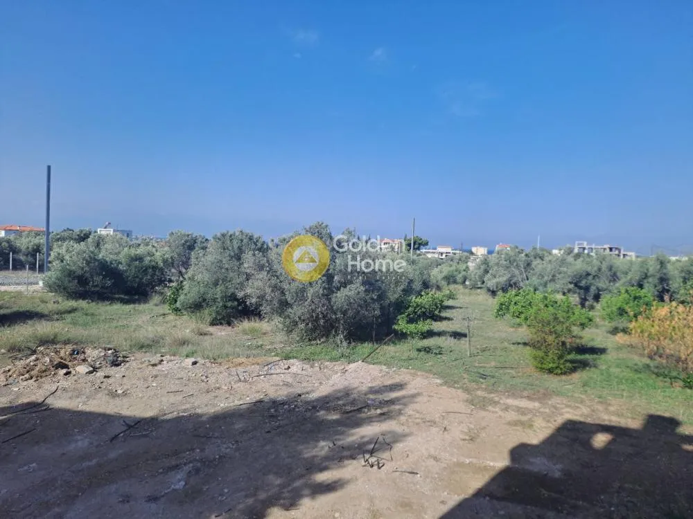 Other ..  360m²  - 5