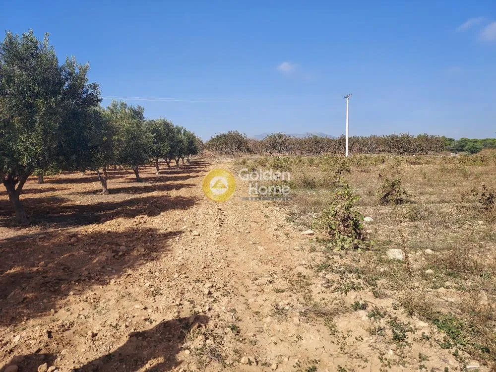 Land Parcel 10000m²  - 2