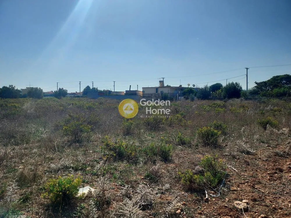 Land Parcel 10000m²  - 3