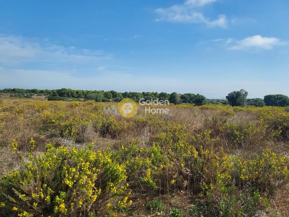Land Parcel 10000m²  - 4