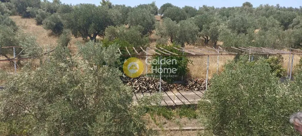 Detached house 200m²  - 2