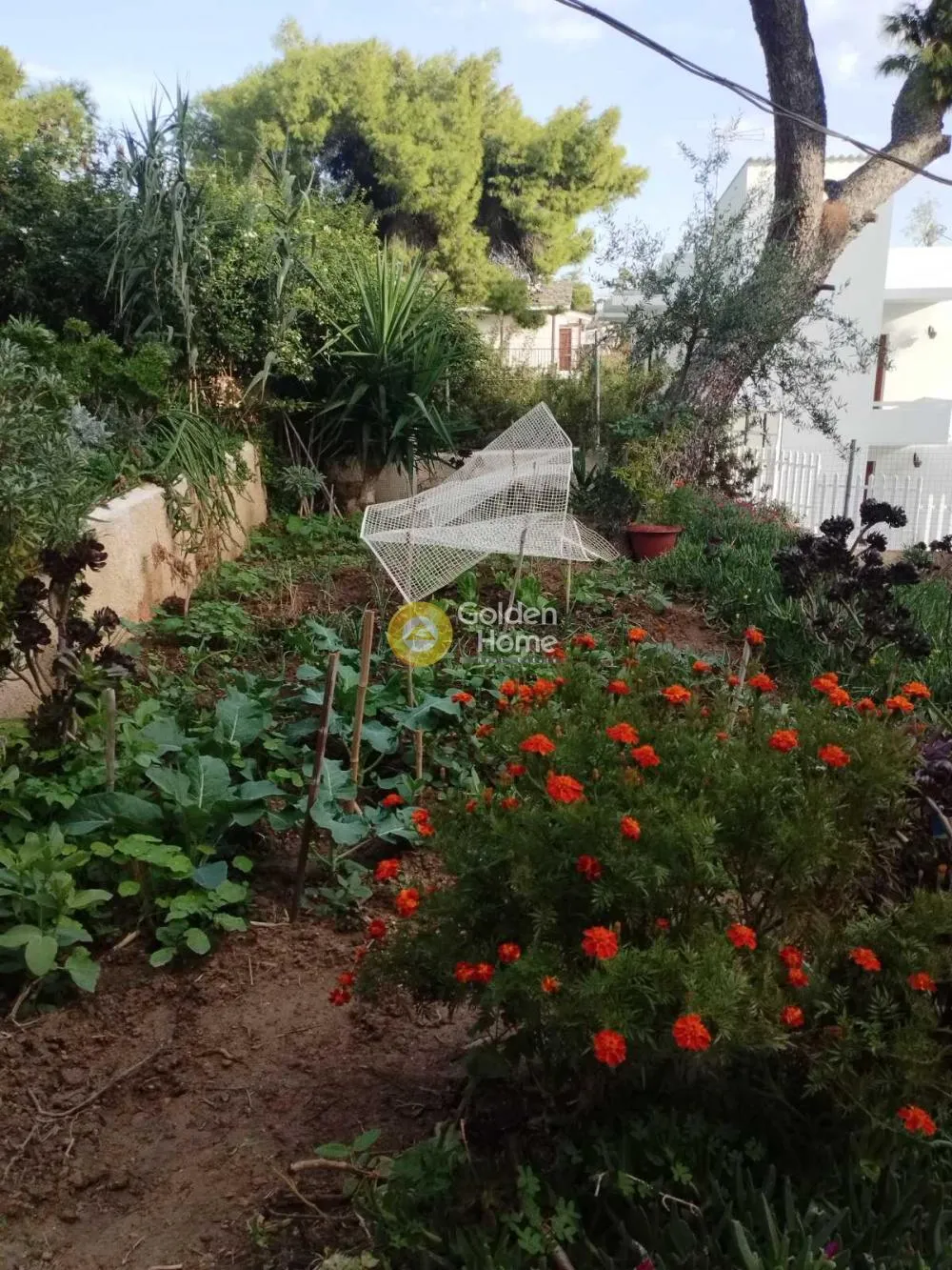 Μεζονέτα 133τ.μ.  - 3
