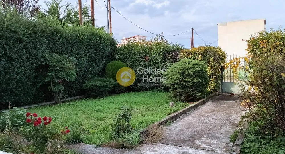 Detached house 229m²  - 2
