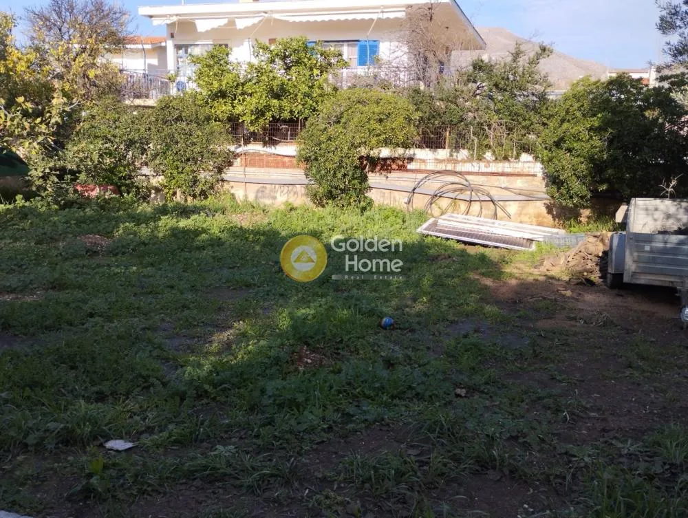 Other .. 1450m²  - 2