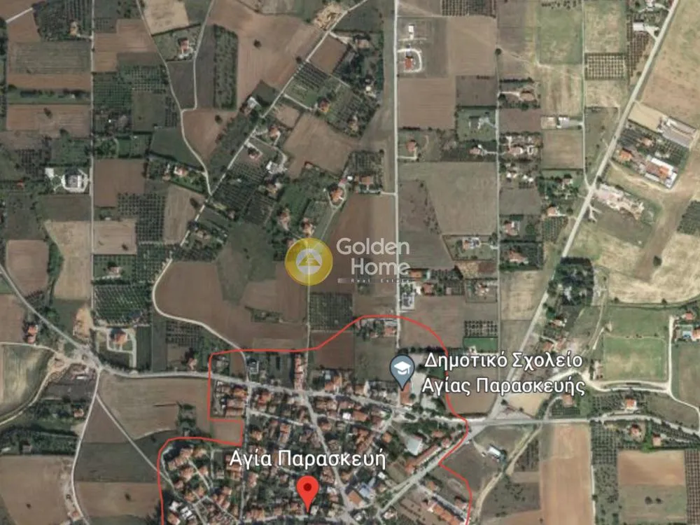 Αγροτεμάχιο 3850τ.μ.  - 2