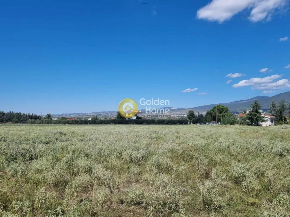Αγροτεμάχιο 3850τ.μ.  - 3