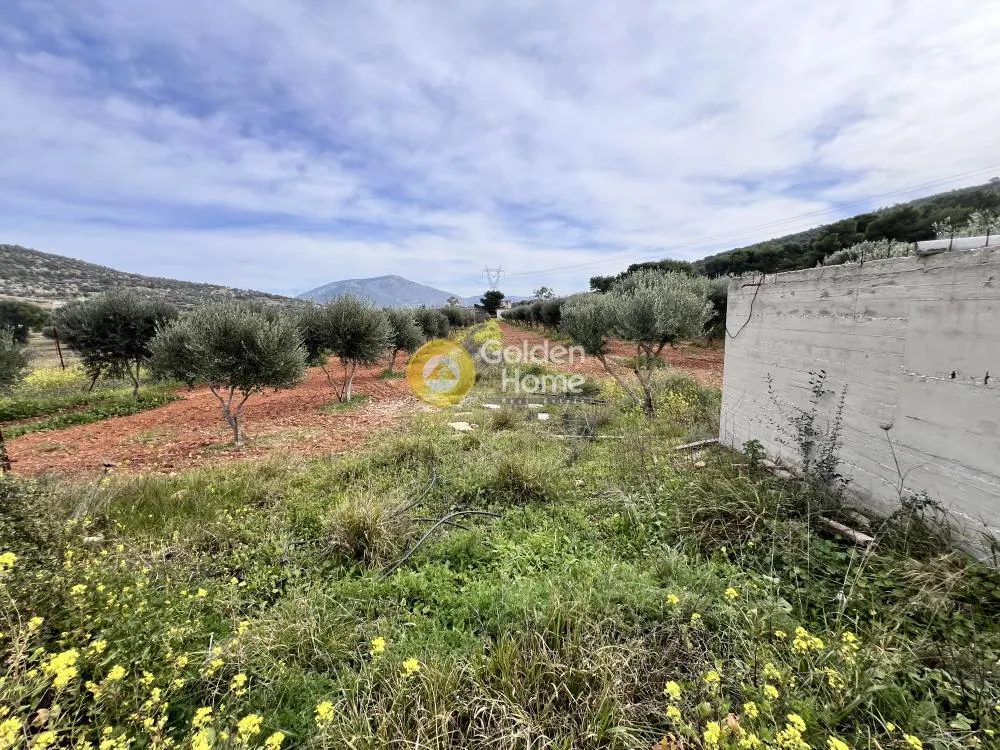 Other .. 1060m²  - 4
