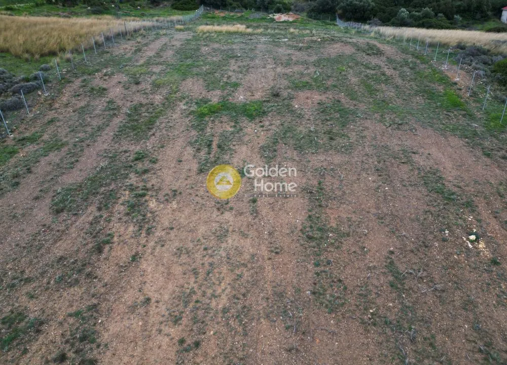 Other .. 7960m²  - 3