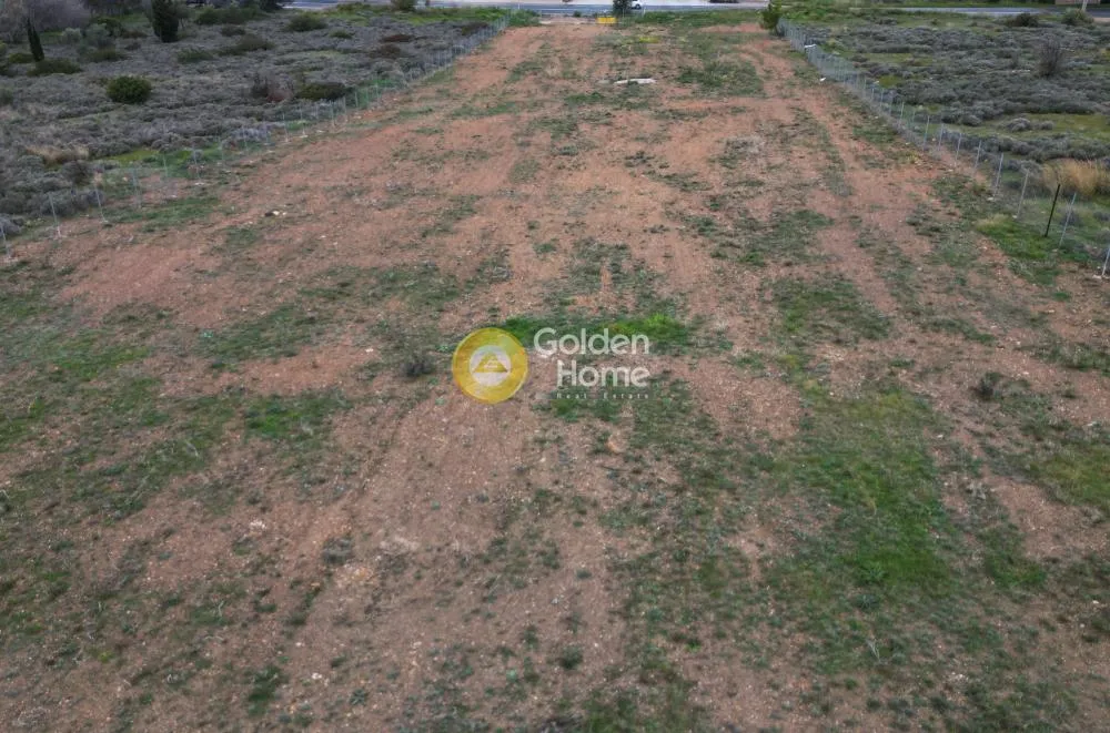 Other .. 7960m²  - 4