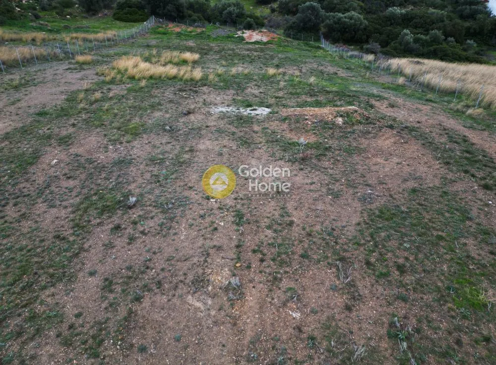 Other .. 7960m²  - 5