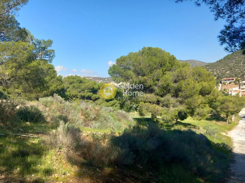 Land Parcel 3500m²  - 2