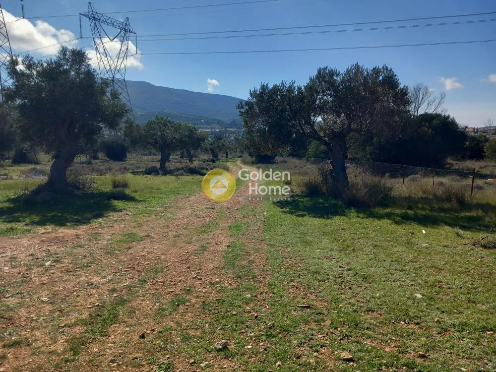 Land Parcel 3000m²  - 2
