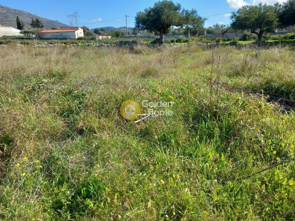 Land Parcel 2713m²  - 3