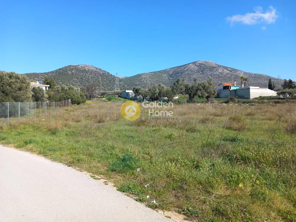 Land Parcel 2713m²  - 5