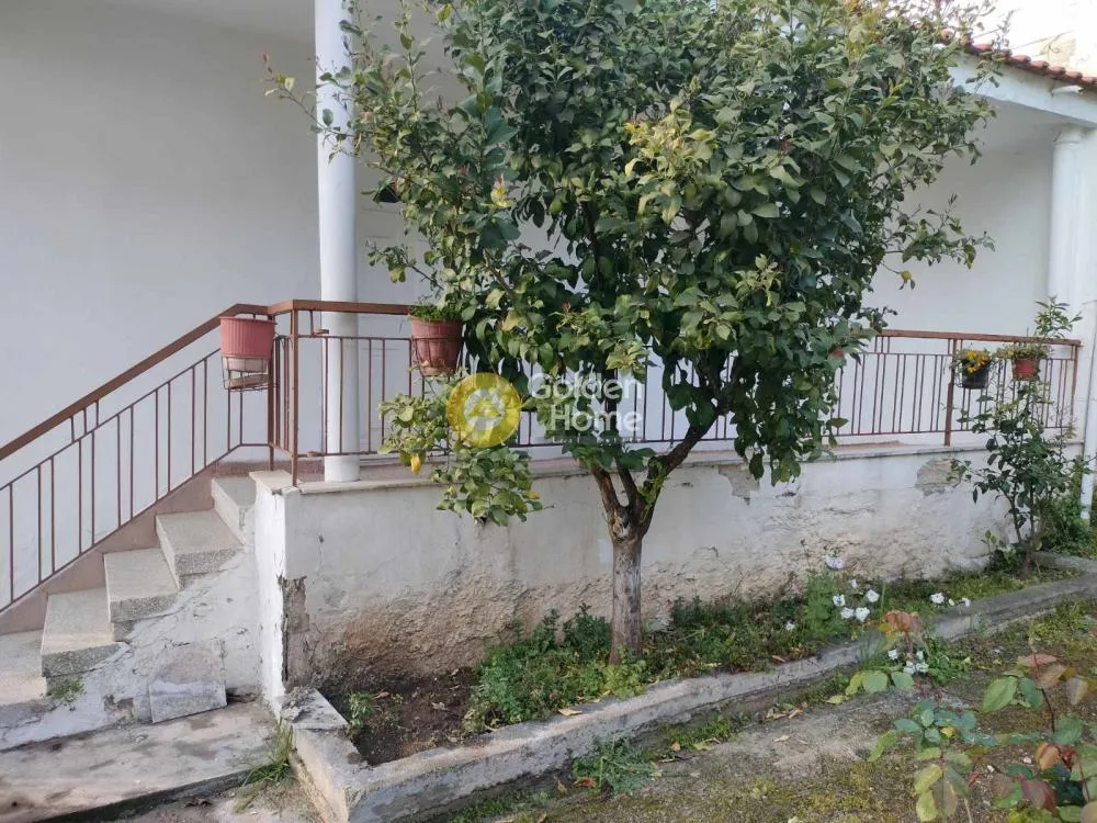 Detached house 75m²  - 2