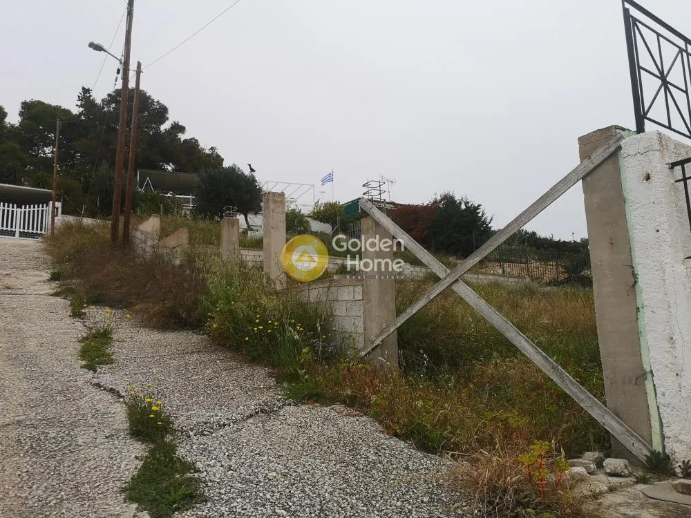 Αγροτεμάχιο 250τ.μ.  - 2