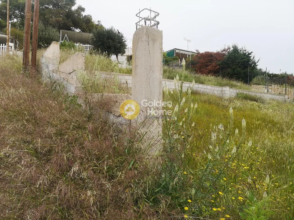 Αγροτεμάχιο 250τ.μ.  - 4