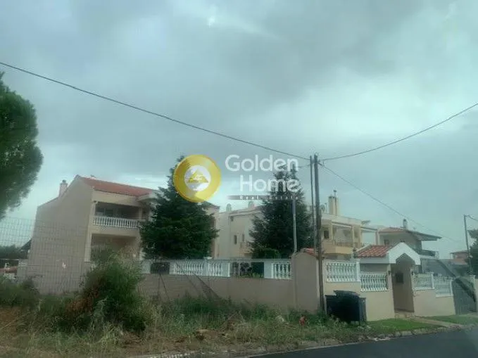 Detached house 591m²  - 3