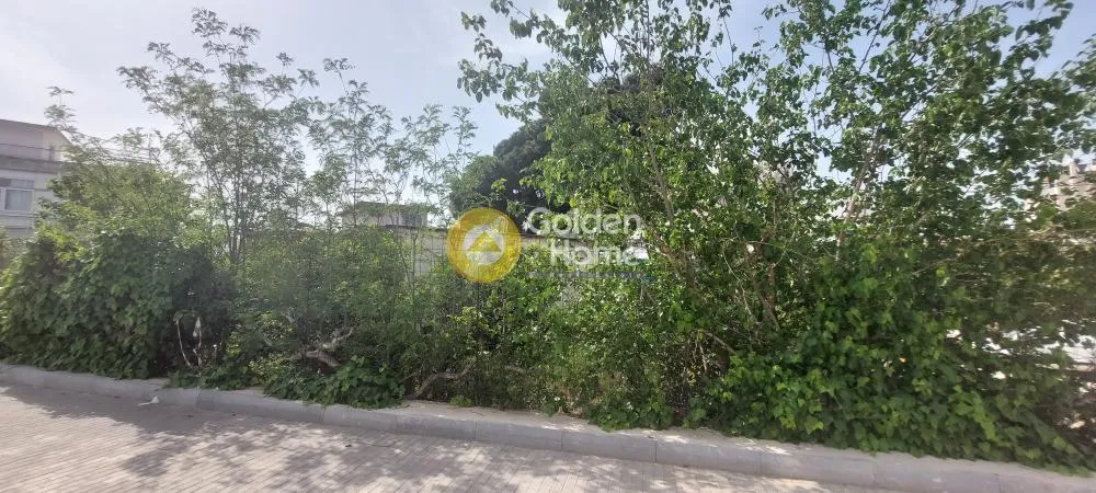 Άλλο.. 458τ.μ.  - 4