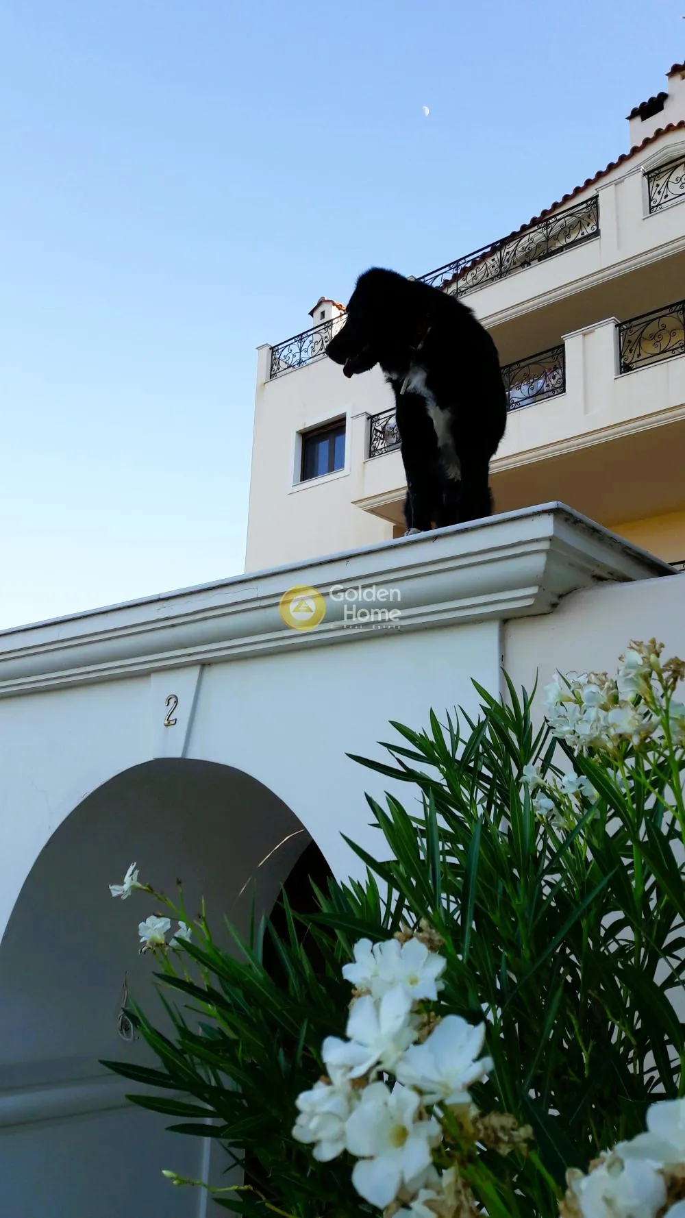 Detached house 580m²  - 4