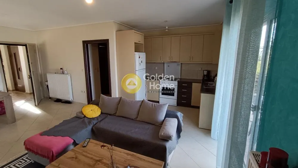 Apartment 53m²  - 3