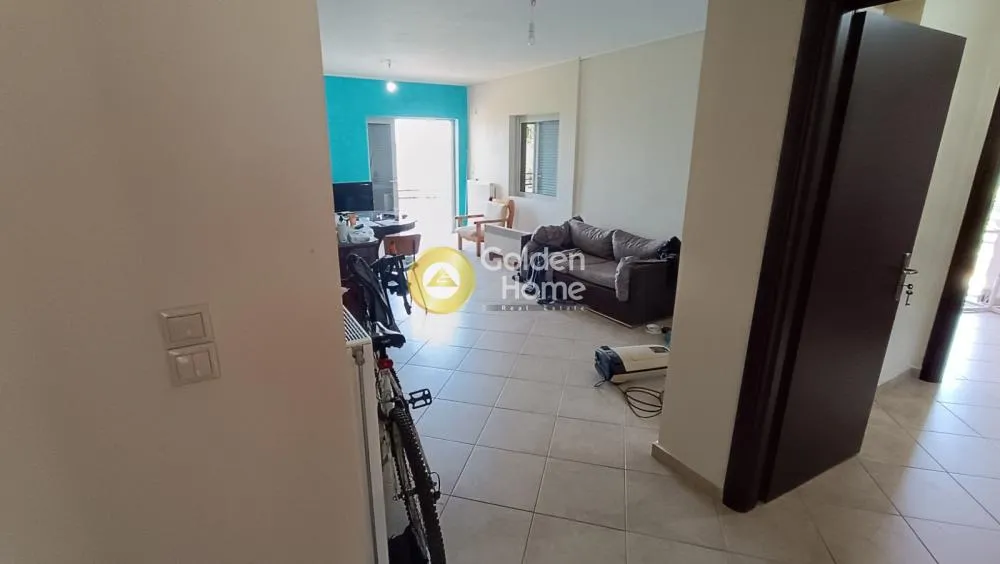 Apartment 53m²  - 4