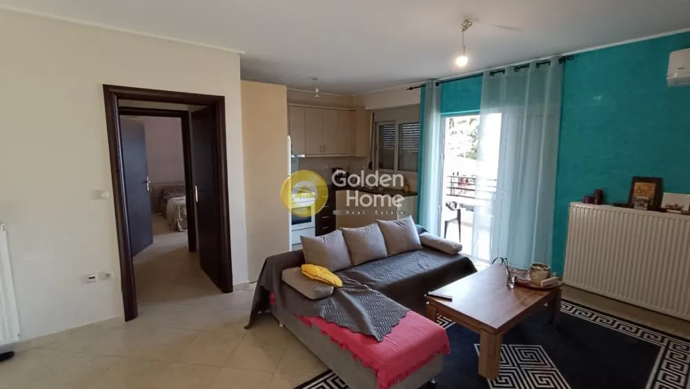 Apartment 53m²  - 5