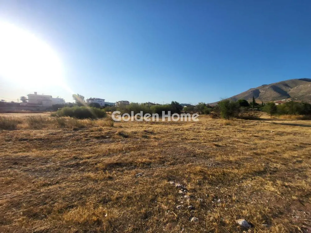 Land Parcel 12231m²  - 2