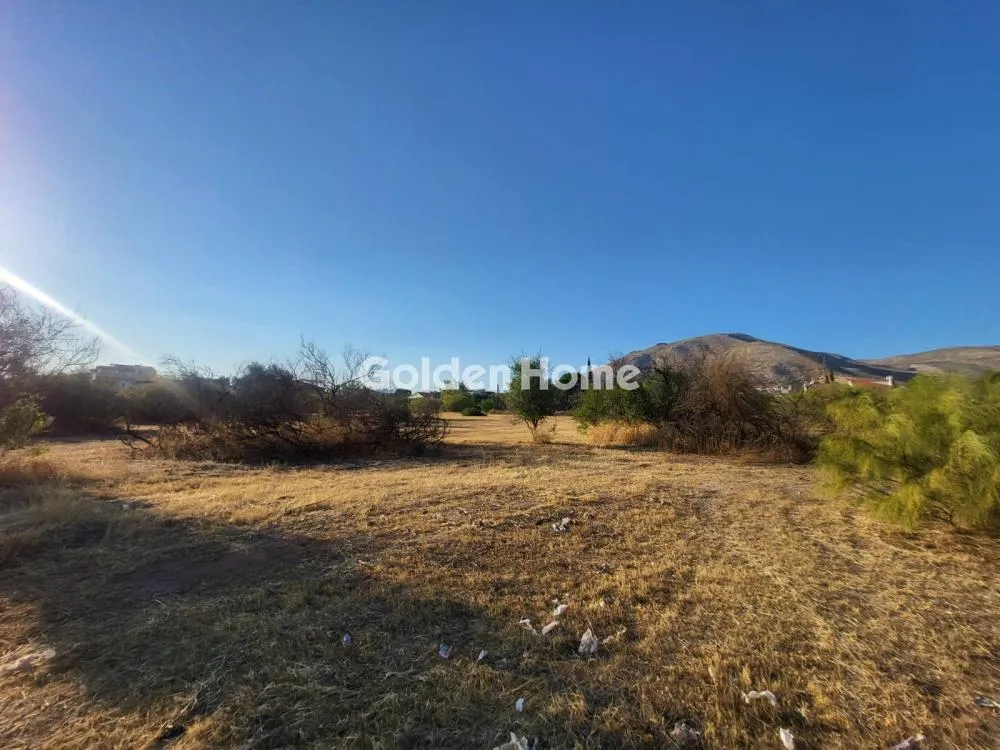 Land Parcel 12231m²  - 3