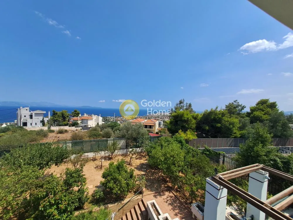 Μονοκατοικία 564τ.μ.  - 3