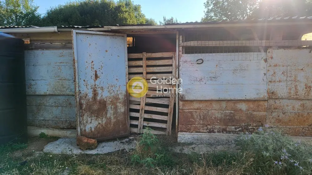 Αγροτεμάχιο 7000τ.μ.  - 3