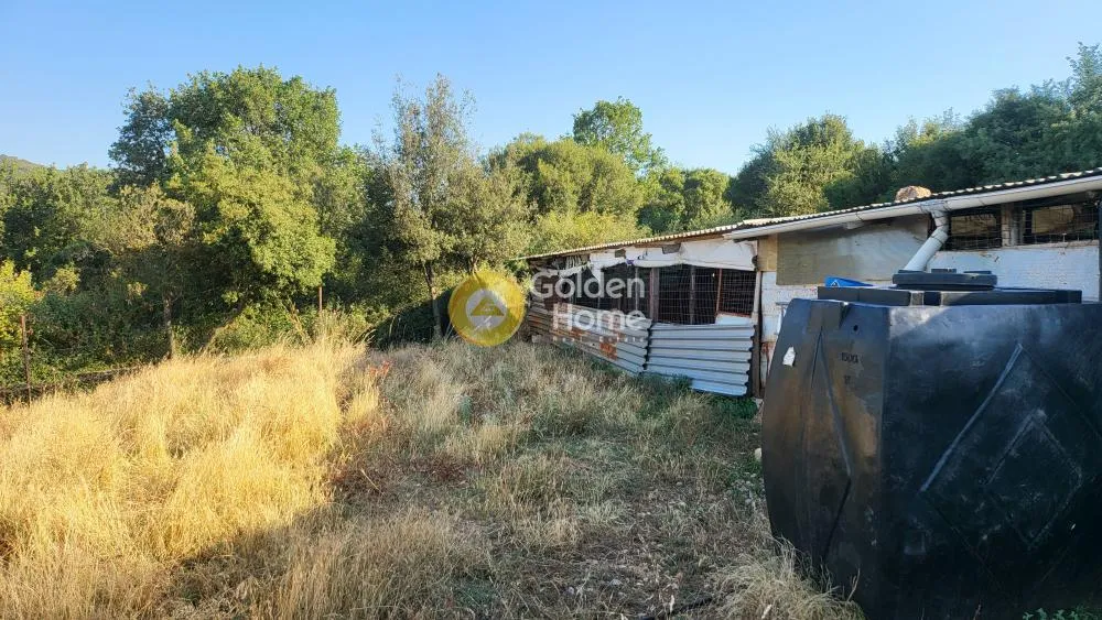 Αγροτεμάχιο 7000τ.μ.  - 4