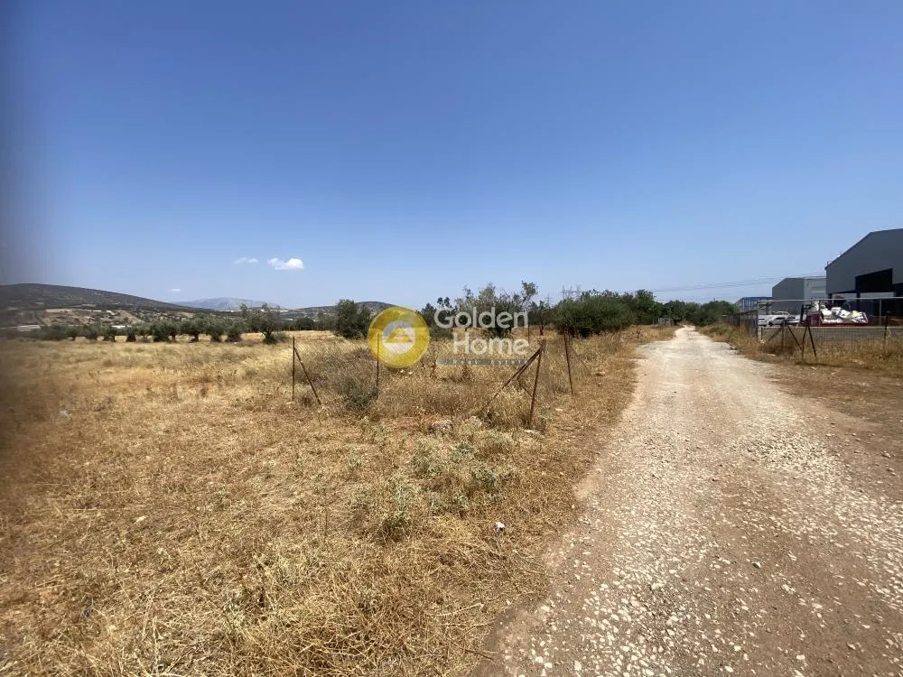 Other .. 22000m²  - 5