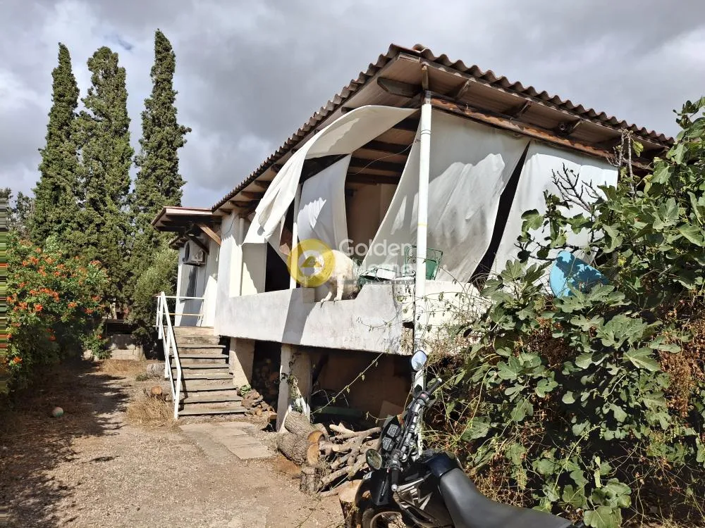 Detached house 55m²  - 4
