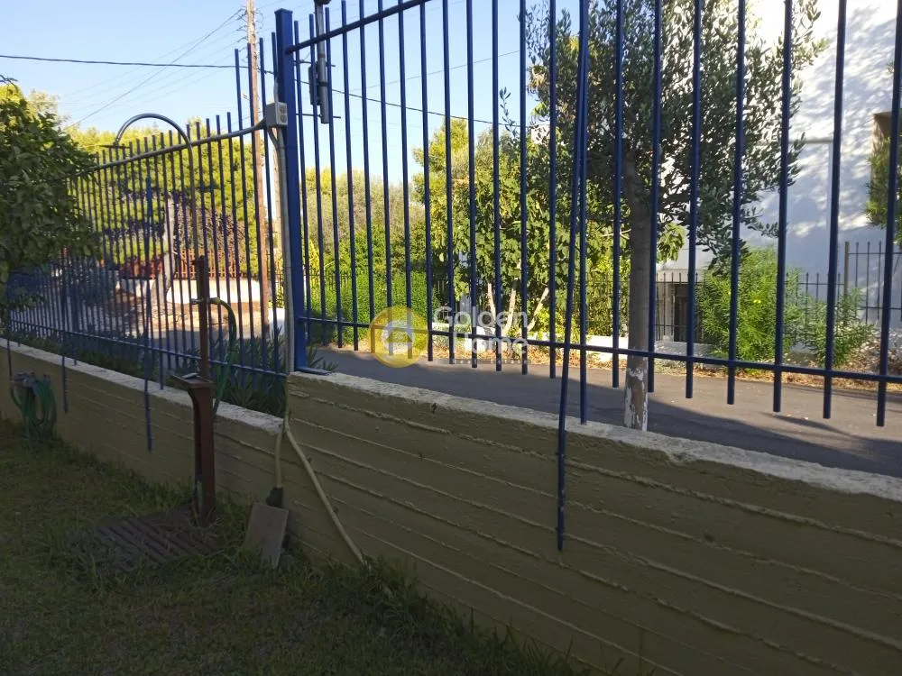 Detached house 205m²  - 4